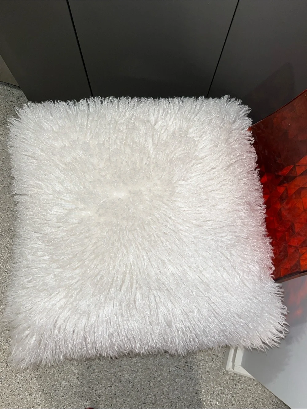 Amazing Beautiful REAL Mongolian Sheep  20 by 20 pillow with pillow insert